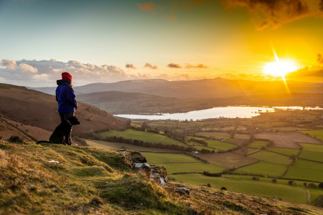 person with dog overlooking national park at sunset