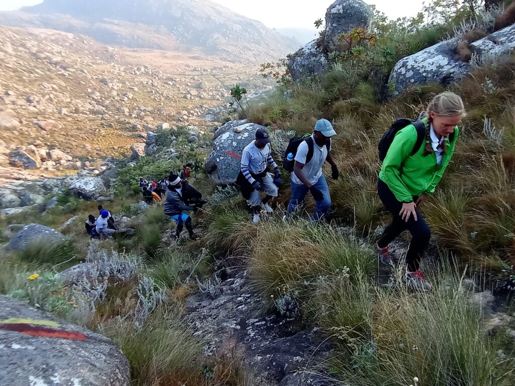 a line of hikers walking up a mountain