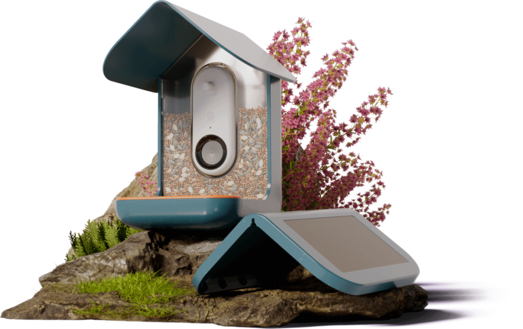 A teal birdhouse filled with birdseed and a build-in digital camera displayed on a small rock.